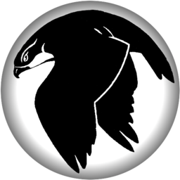 Flying Bird